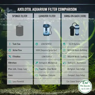 The Best Axolotl Filters: Top Stress-Free Picks 9