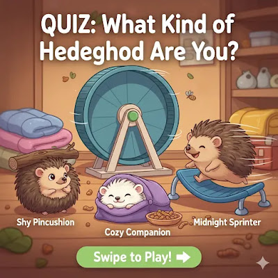 Quiz: What Kind of Hedgehog Are You? 🦔 19